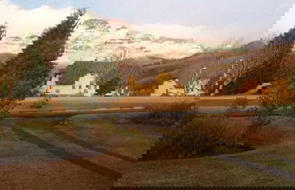 Champagne Haven - Foto 28