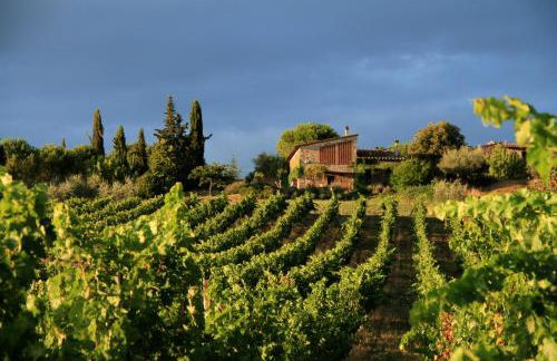 Casina Di Cornia - Foto 24