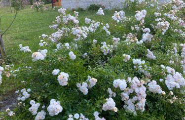 Casa Vacanza Alle Pratoline covered parking for bicycles and motorcycles - Foto 3