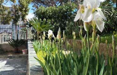 Verdeacqua my villa in the pinewood - Foto 27