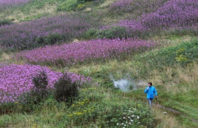 Apartment in Olsberg - Foto 17