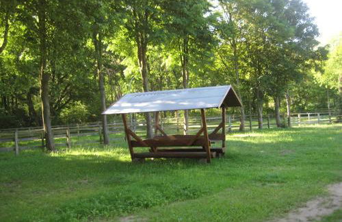 Finnhütte Möwe - Wittenbecker Tannen - Foto 9