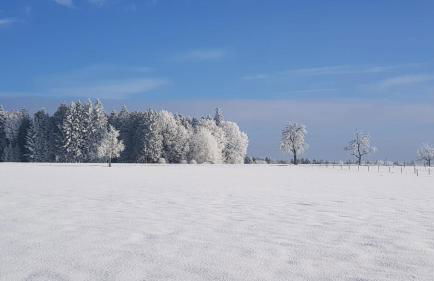 Chickenhill Blackforest, große Ferienwohnung im Schwarzwald - Foto 35