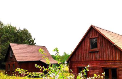 Zagroda z Antonówką - Foto 34