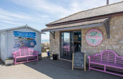 Brynelian - Photo 25