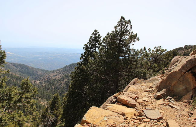 Tzionis Petroktisto Holiday Stonehouse - Photo 36