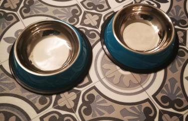 Welcome to St Helena Dunoon, a traditional villa - Foto 33