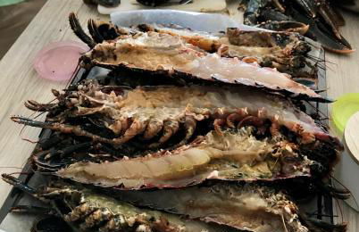 RÉVEIL SUCRÉ - Foto 36