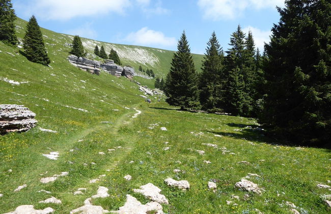 Family Retreat Near Garda - Photo 35