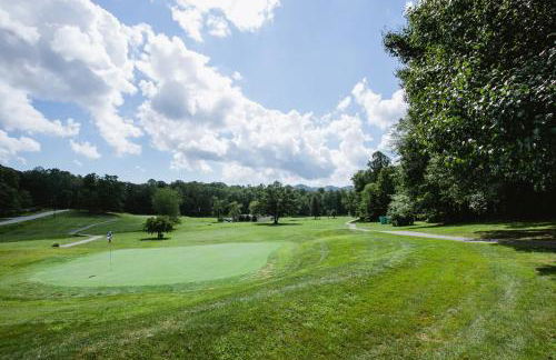 Cherry Street Loft (A) Pet-Friendly & In the Heart of Downtown Black Mtn! - Foto 27