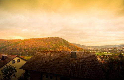 Mainzimmer - Business Apartments - Foto 58