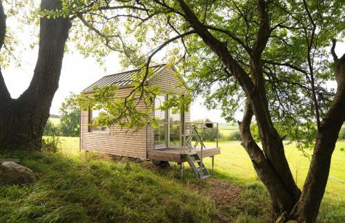 Studio Mini - Foto 1