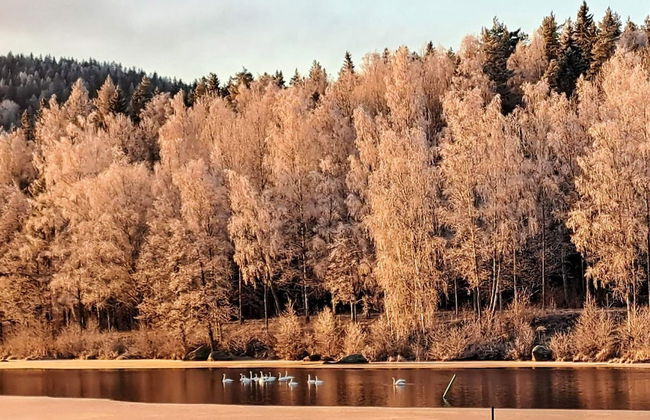 4 Person Holiday Home in Karlskoga-by Traum - Foto 20