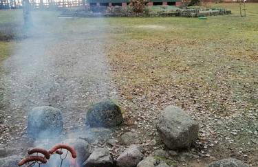 Domek letniskowy Pod brzozami Pszczew - Foto 12