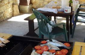 Flor de Pomar - Foto 79