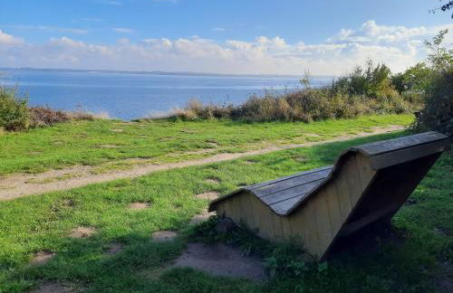 Rosmarinchen - Foto 17