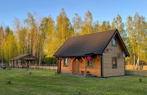 Siedlisko Jaskółka - Puszcza Białowieska - Foto 24