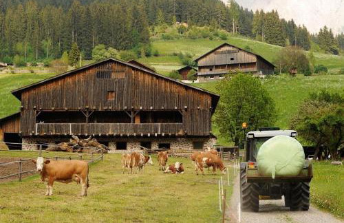 Moserhof Ferienwohnung Schartblick - Foto 30
