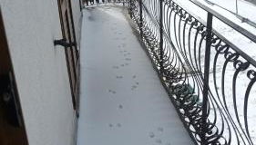 ALEX's HOUSE PIZZOFERRATO - Foto 2