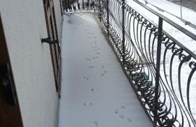 ALEX's HOUSE PIZZOFERRATO - Foto 2