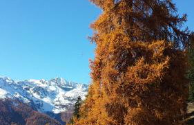 Residence Alice - Foto 61