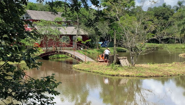 Terraço/pátio interior