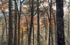 The Onyx - Walk to Falls, Hot Tub, Resort Access, Luxe Approved - Foto 59