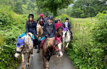 Trillow House, Clungunford, Ludlow - Foto 46