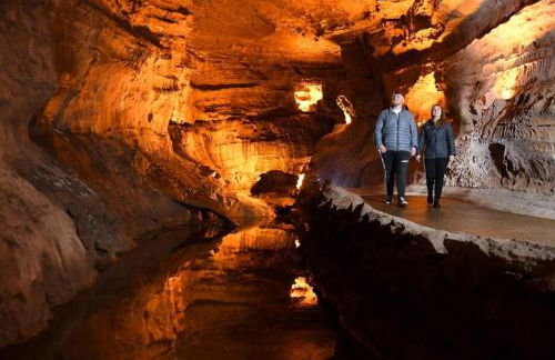 4 Bed in Lower Cwmtwrch BN343 - Foto 17