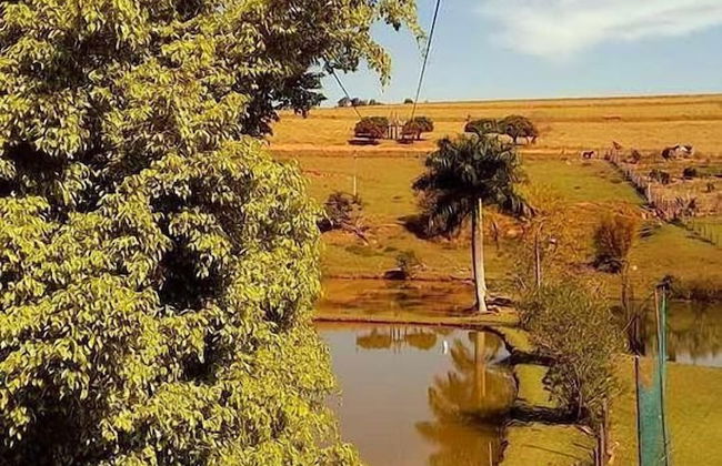 Hotel Fazenda Menino da Porteira - Foto 23