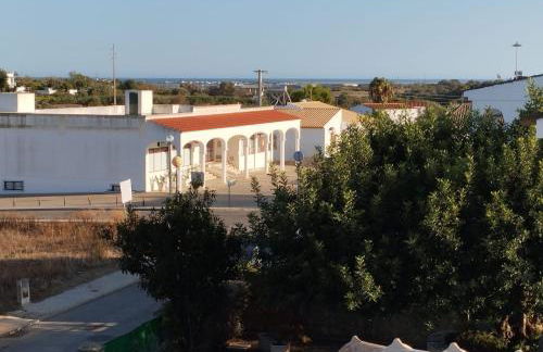 Villa Serena - Foto 58