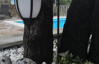 Vila Marija - Photo 42