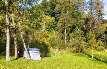 Całoroczny Domek na Podlasiu PoWolność - Foto 2