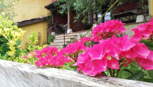 Casas los Cantores - Foto 4, Garden