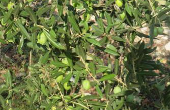 I&J Relaxing Beach Apartments - Foto 61