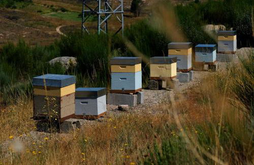 Quinta do Chãozinho - Foto 25