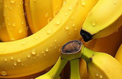 Hôte Labyrinthe sur la place chambres d, hôtes , calme ,Netflix - Foto 51