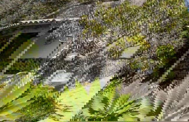 Finca El Castillo - Foto 61