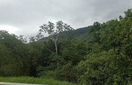 Parque monte alto - Photo 24