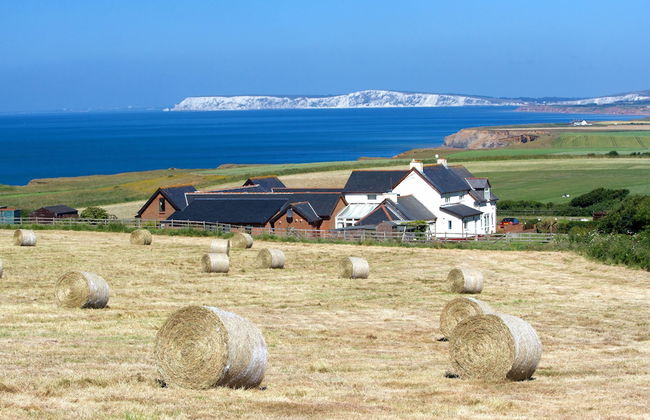 Chale Bay Farm - Photo 1