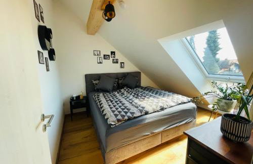 Urlaub im fränkischen Seenland - Foto 53