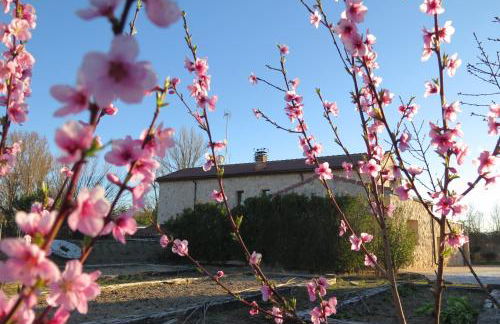 El Molino de Manolo - Photo 7