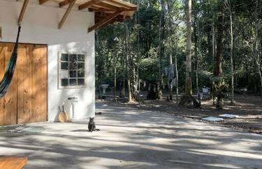 Bosque na Montanha Encantada - Foto 70