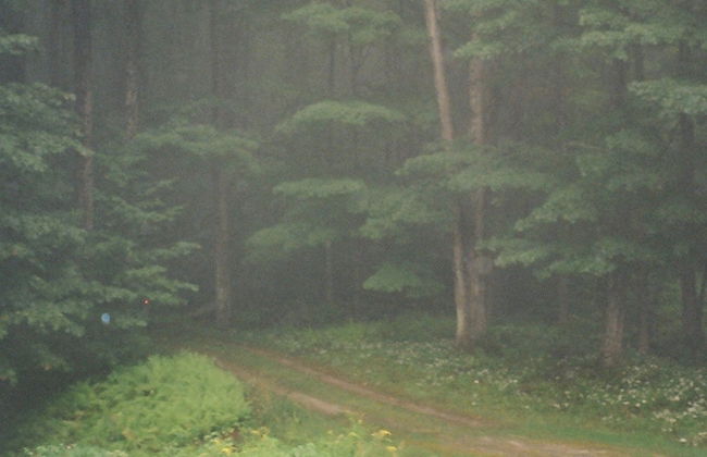 Forest Mountain Escape: Beautiful Mountaintop Escape In Mendon, Vt. 20 Min To Killington/14 To Pico. 4 Bedroom Home - Foto 14