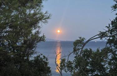 House Garli Premium Hospitality - Photo 77