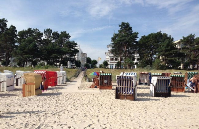 Herring Gull in the Villa Meernixe Binz - Photo 20