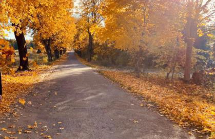 Wakajki - domek z balią blisko jeziora i centrum Mikołajek - Foto 26