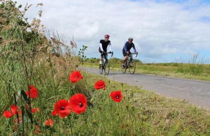 Upper Instow Beach Cottage - Foto 26