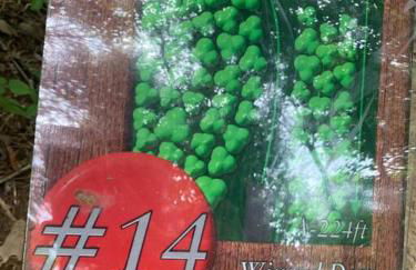 Farmhouse with game room, fire pit and creek - Foto 30