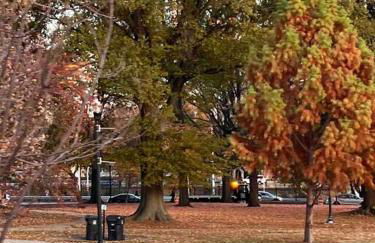 Cozy on the Hill - Foto 10